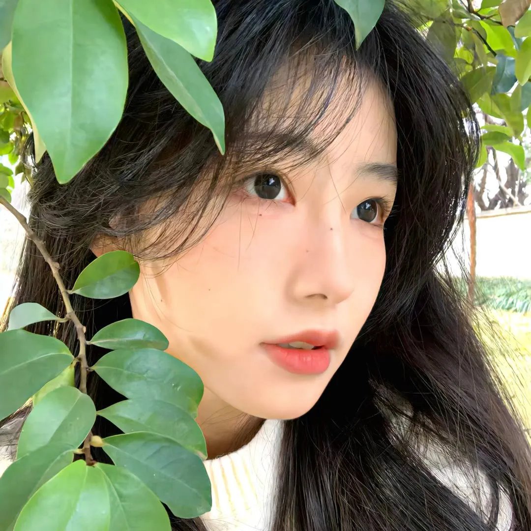 夏日不宜入爱河