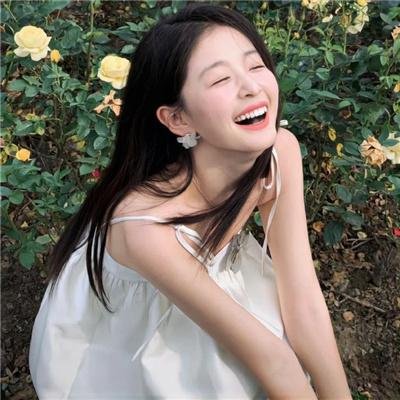 鲨与鲸